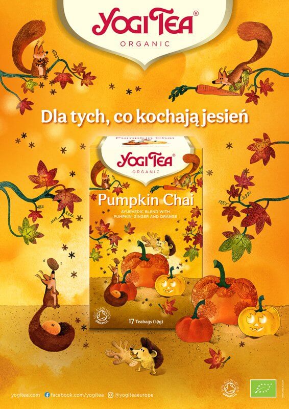 Čaj Yogi Tea Pumpkin Chai (17 sáčků)